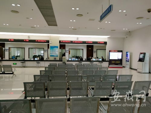 虎年開工首日探訪 安徽省政務(wù)服務(wù)中心窗口人員堅(jiān)守崗位，熱情服務(wù)暖人心